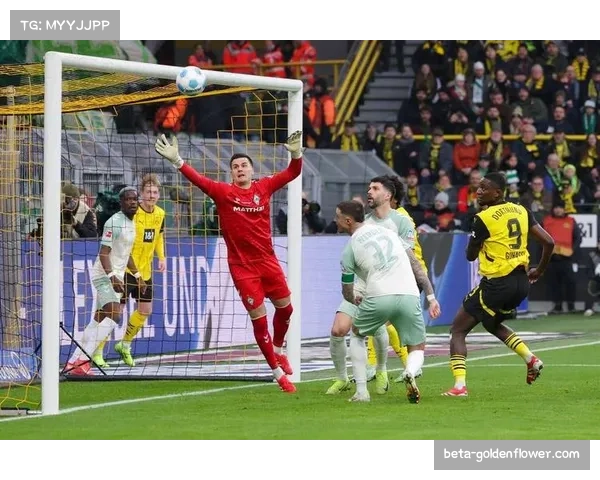 柏林联合主场爆冷取胜 战术执行力值得肯定